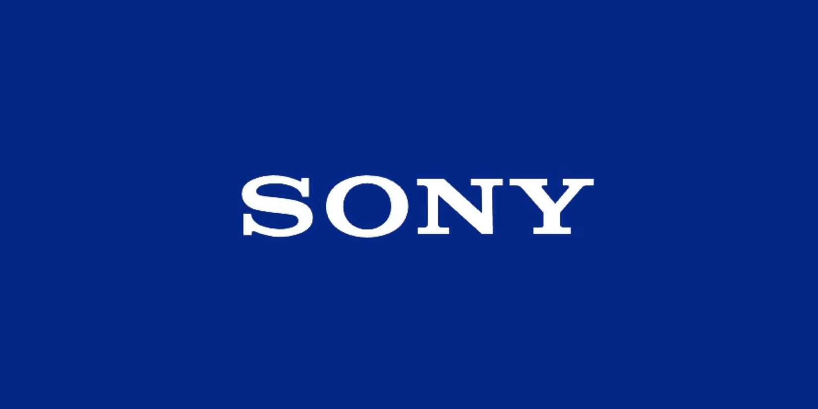 Sony Confirms Interest in Acquiring FromSoftware Parent Company
