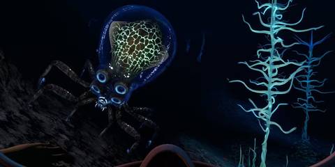 Subnautica Crabsquid