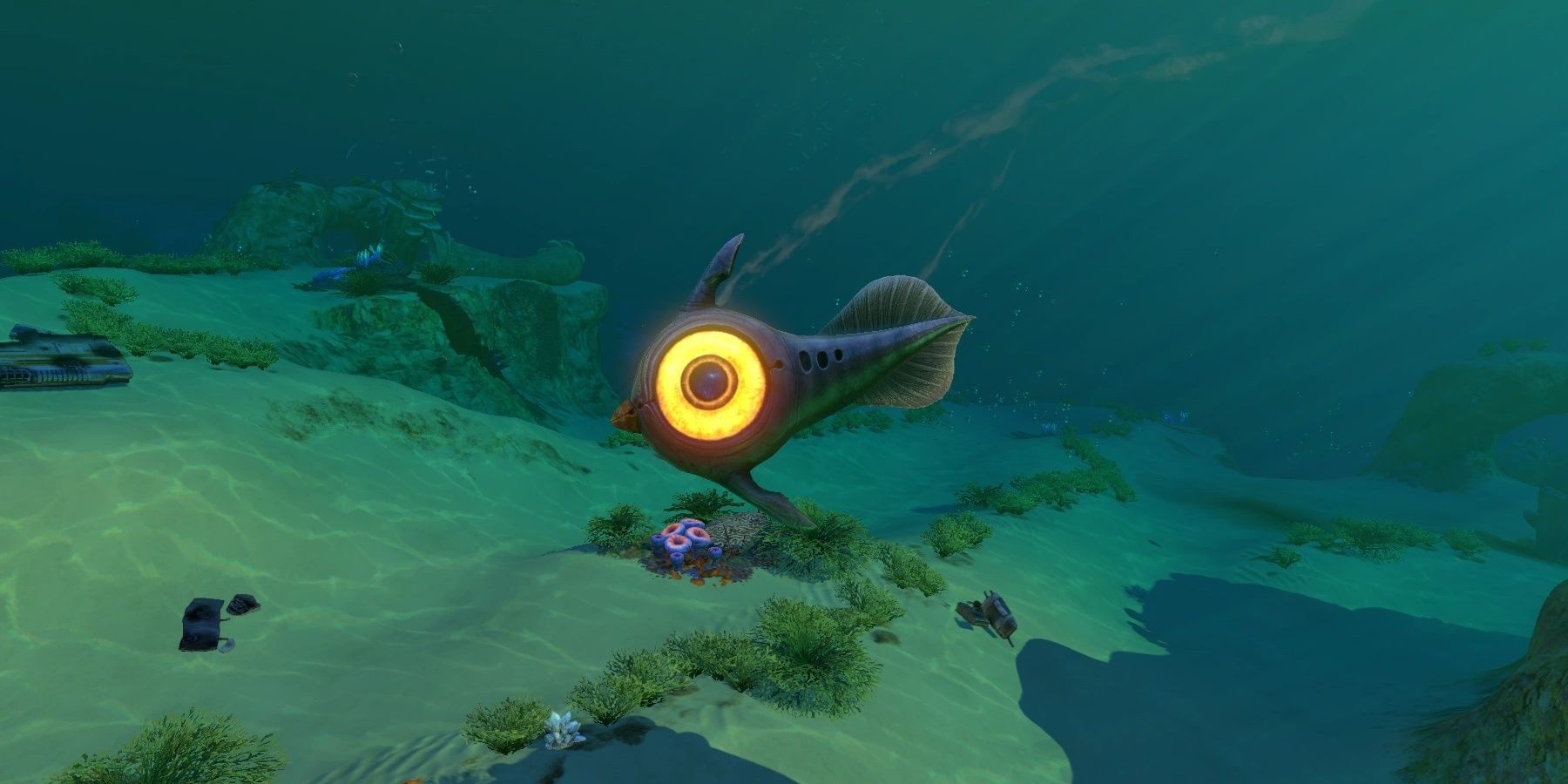 Subnautica Peeper