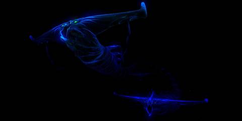 Subnautica Ghost Leviathans in the Void