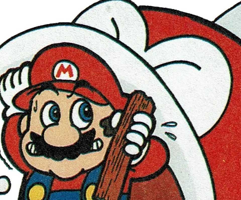 Super Mario Bros 3 Strategy Guide Art Mario and Big Bertha