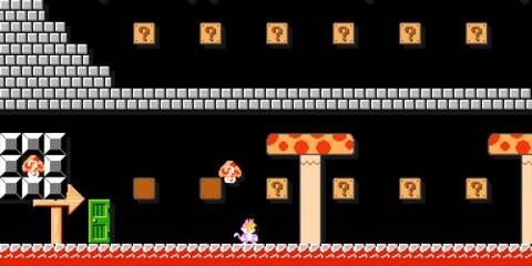 Mario transformed into Cat Peach with the Mystery Mushroom in Super Mario Maker