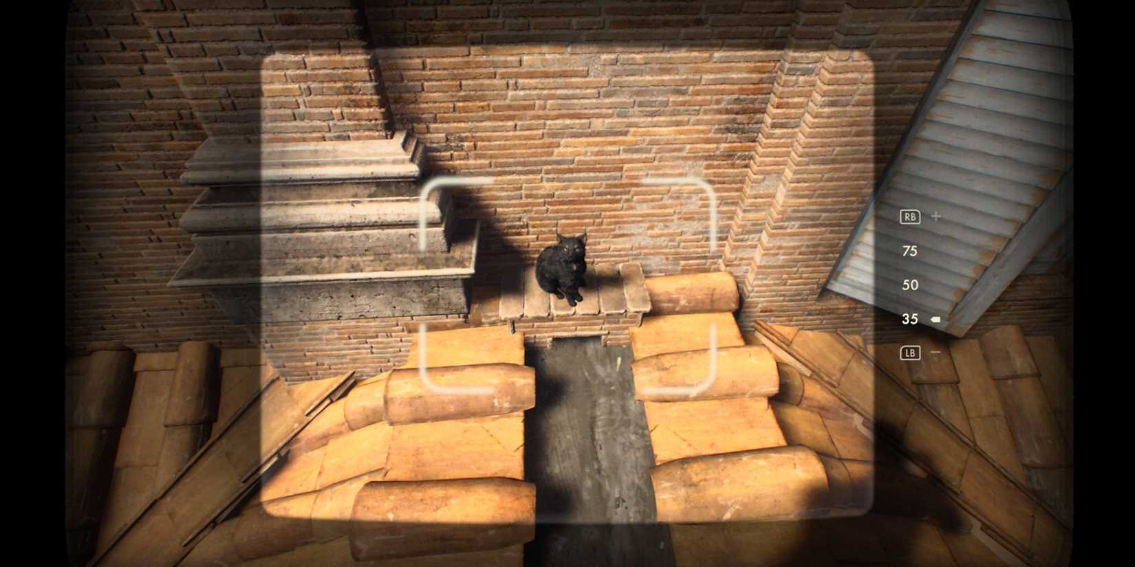 Taking a photo of missing cat in Indiana Jones and the Great Circle