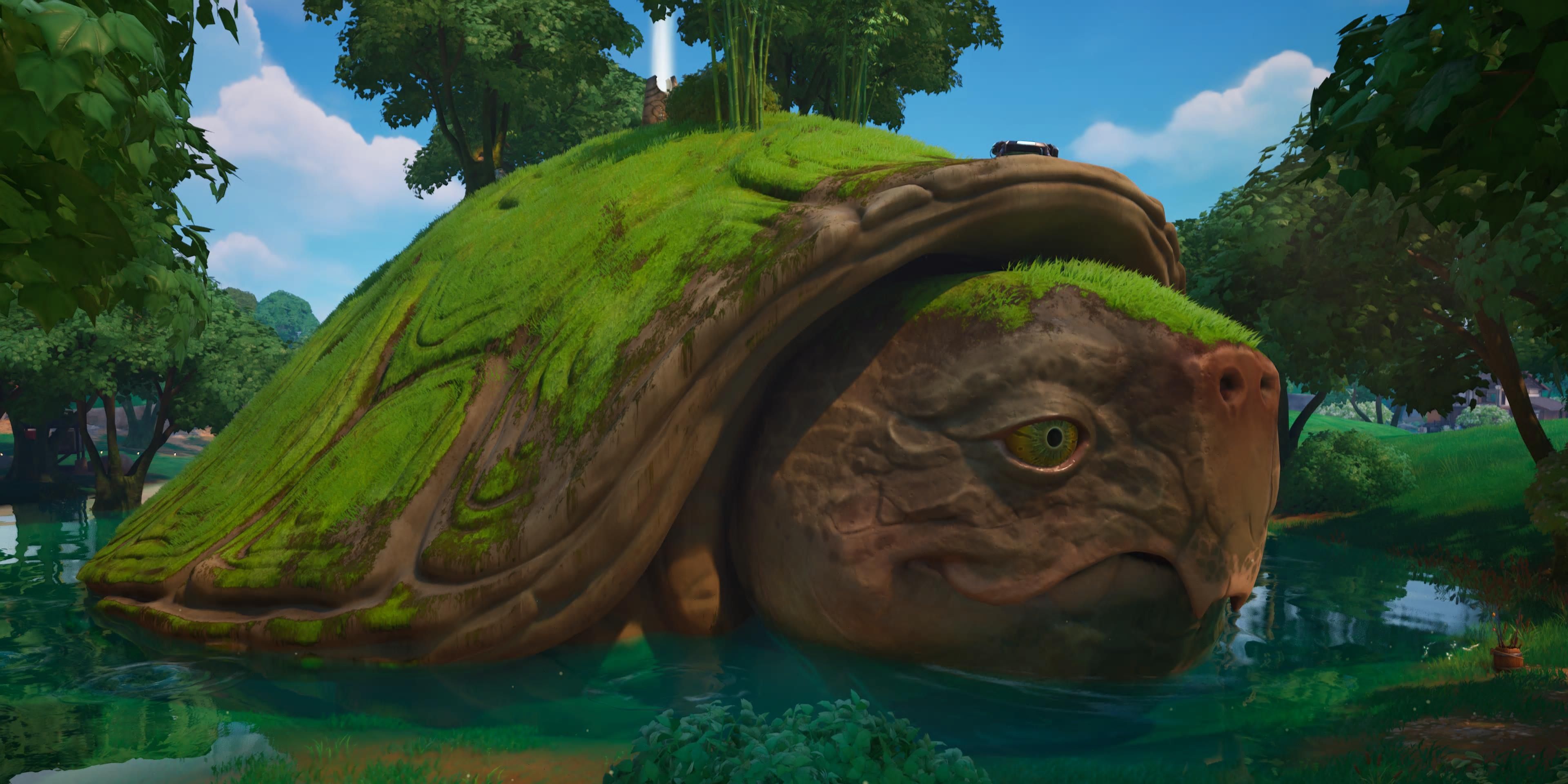 the big turtle