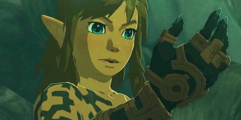 The Legend of Zelda Tears of the Kingdom Link Rauru's Arm