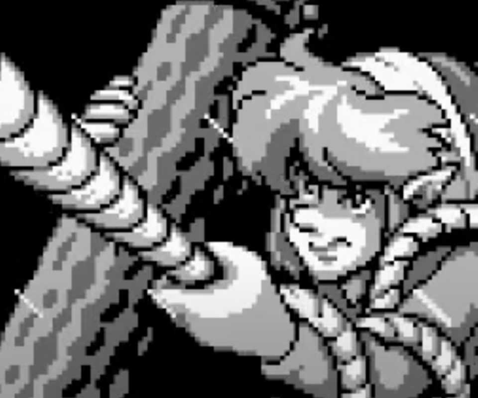 The Legend of Zelda_ Link's Awakening In Game Screenshot 1