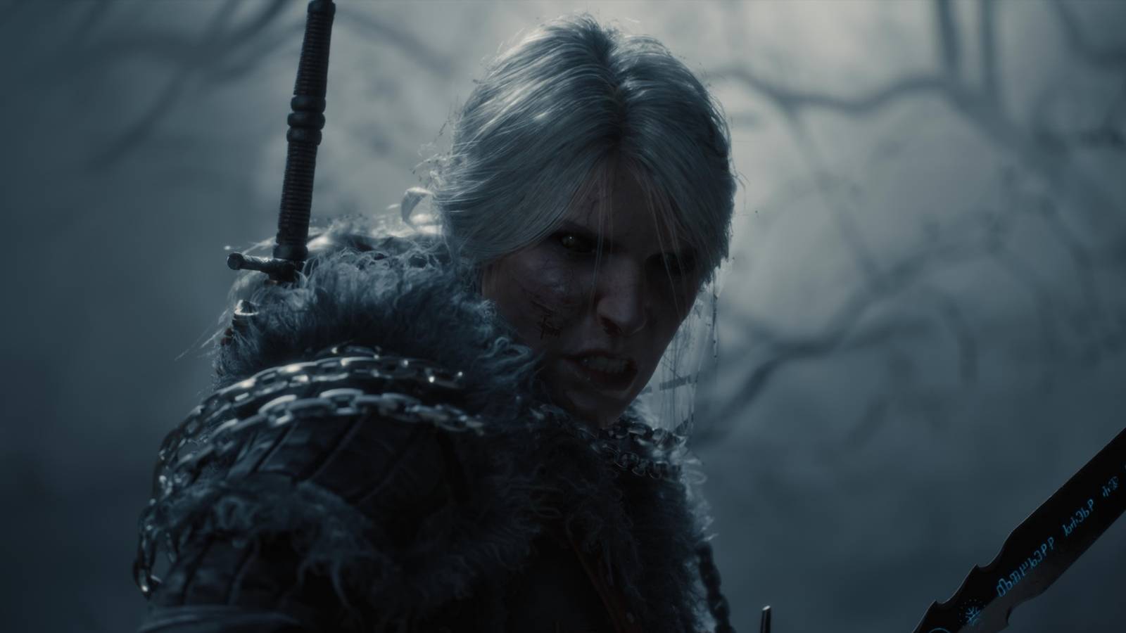 the-witcher-4-trial-of-grasses-plot-hole-addressed