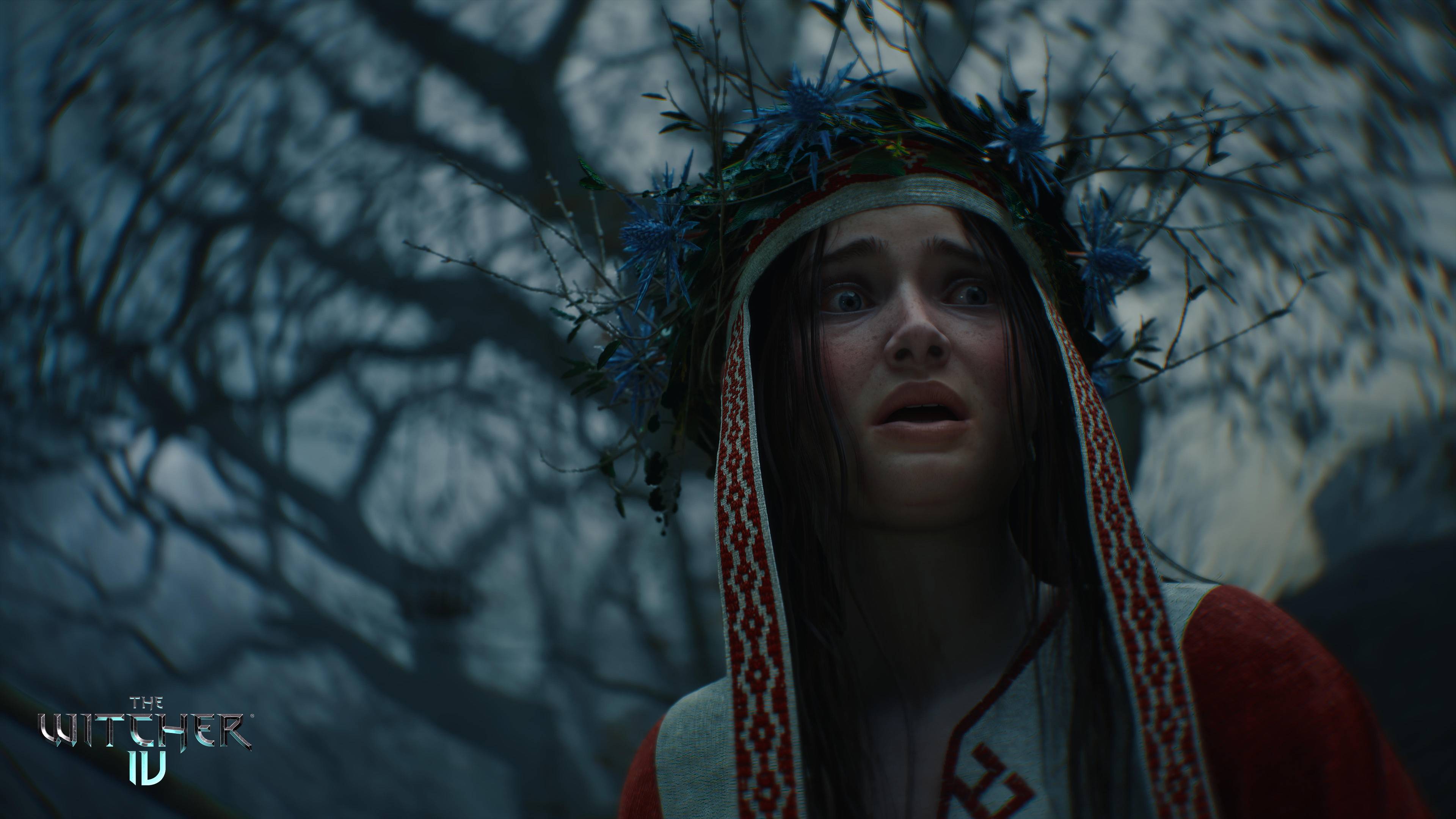 The Witcher IV Press Image 5