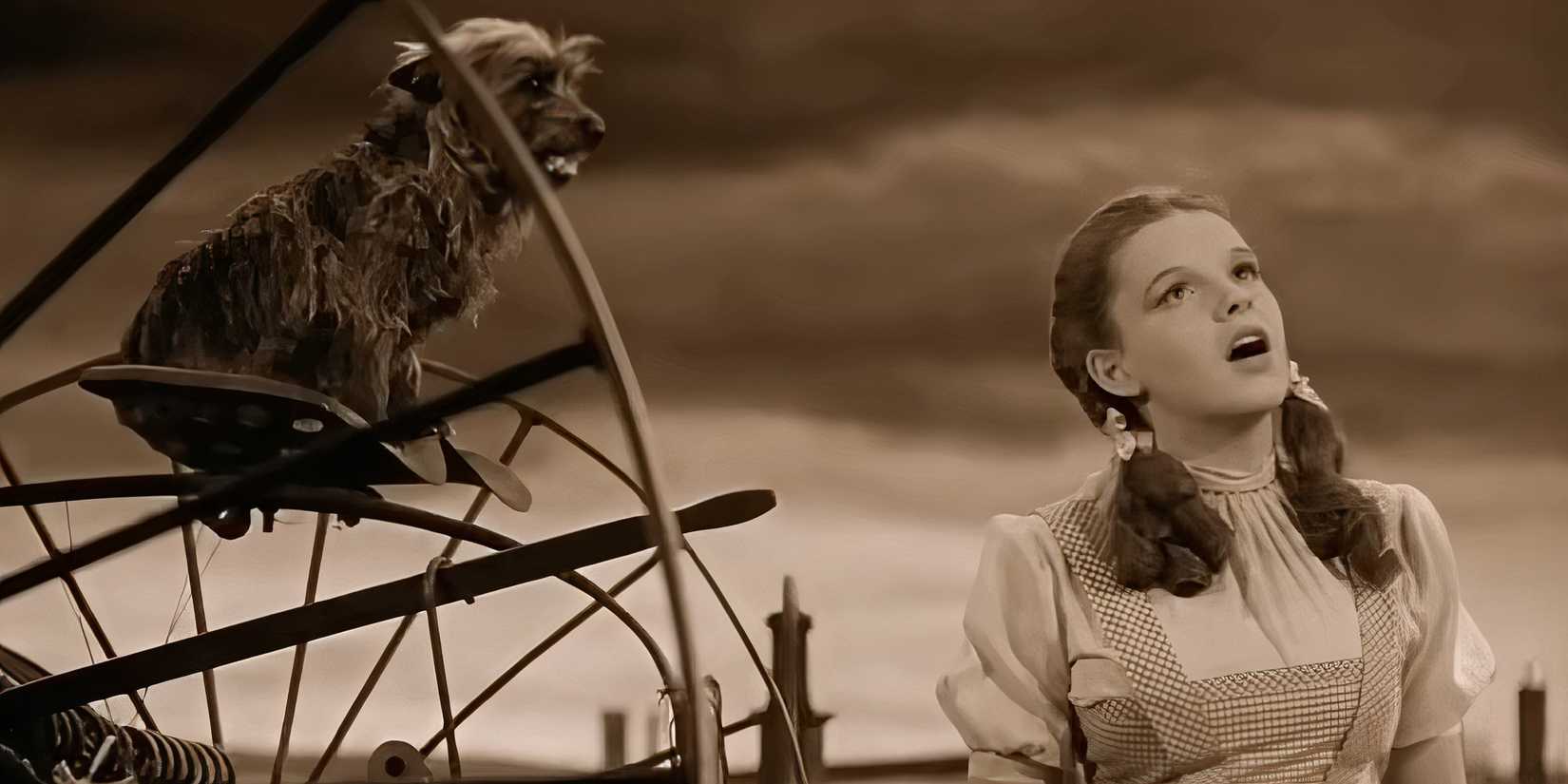 The Wizard Of Oz (4)