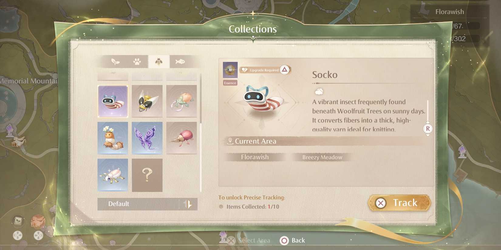 track socko on the map in infinity nikki