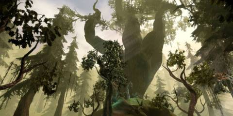 A tree in the Brecilian Forest in Dragon Age: Origins