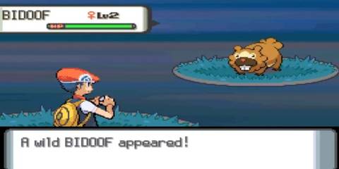 A player battling a Bidoof in Pokemon Diamond and Pearl