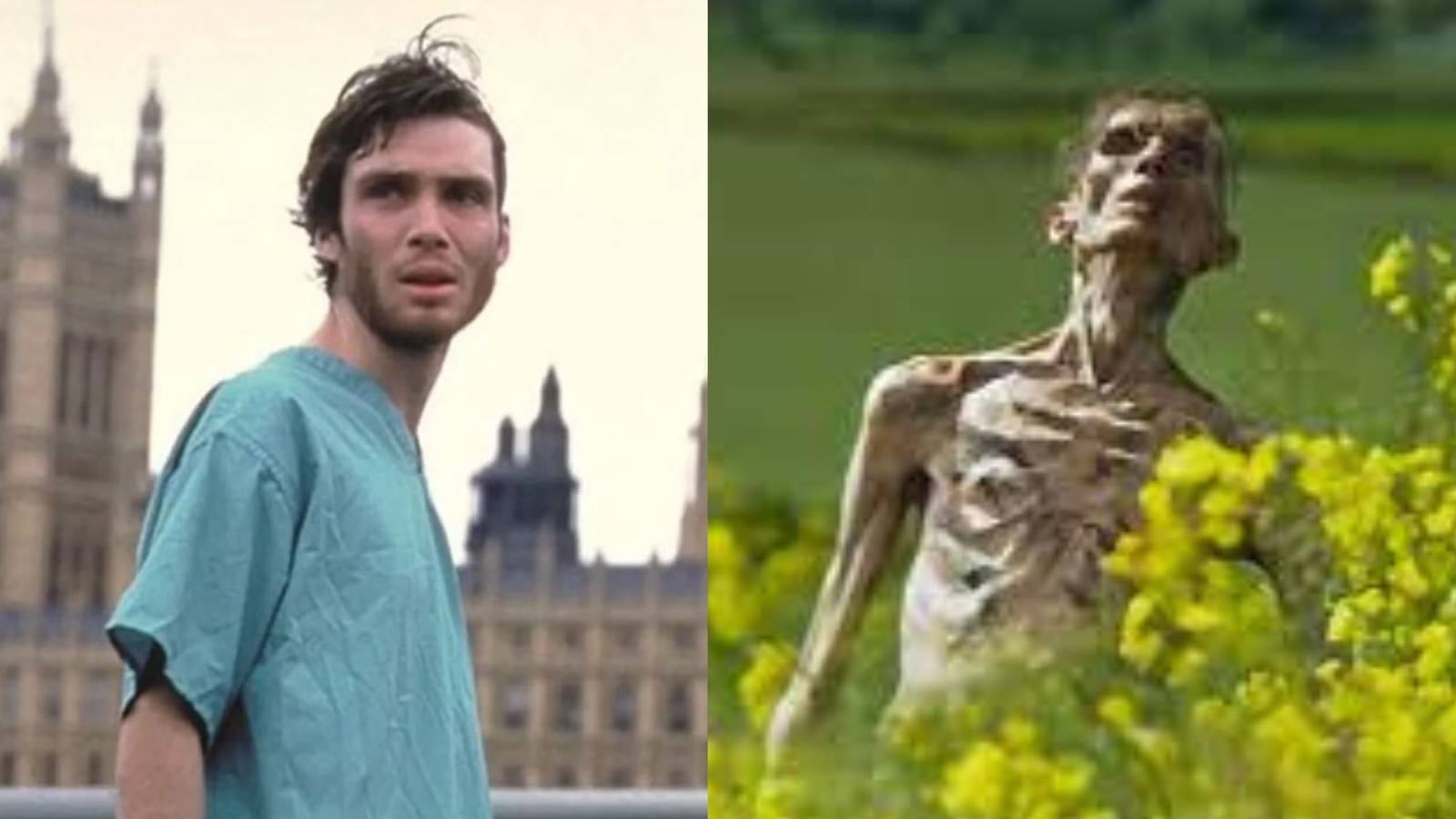 Cillian Murphy and a zombie from 28 Years Later movie - custom image by Rachael Fiddis