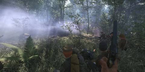 War of Rights Forest