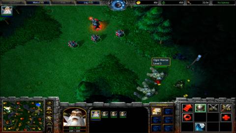 Warcraft III_ Reign of Chaos In Game Screenshot 1