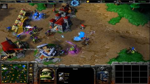 Warcraft III_ Reign of Chaos In Game Screenshot 3