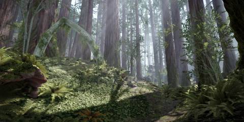 Warhammer Vermintide Forest