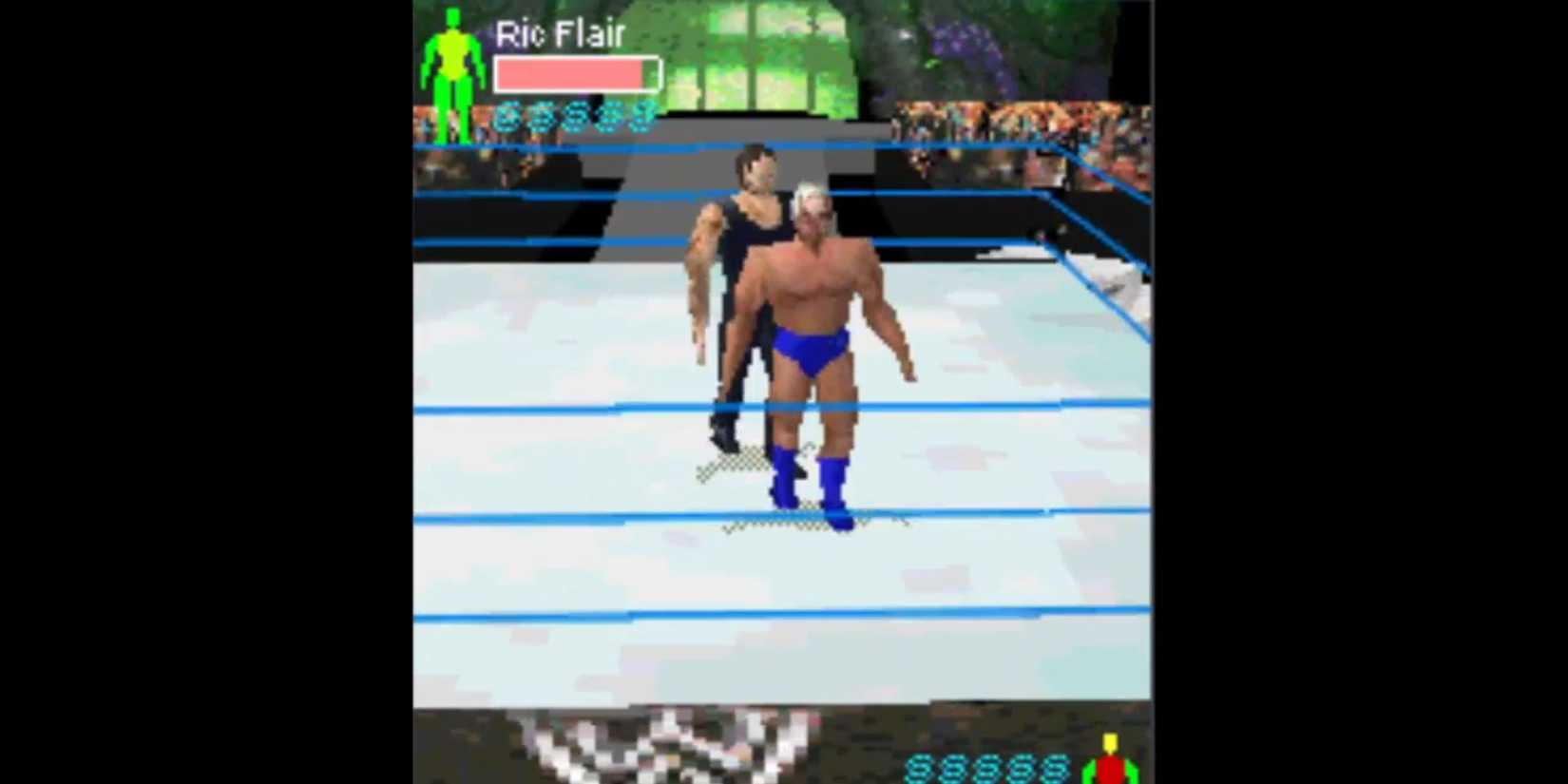 Ric Flair fighting the Undertaker in WWE Aftershock