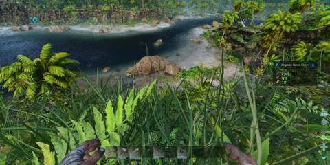 Exploring the Island in Ark: Survival Ascended
