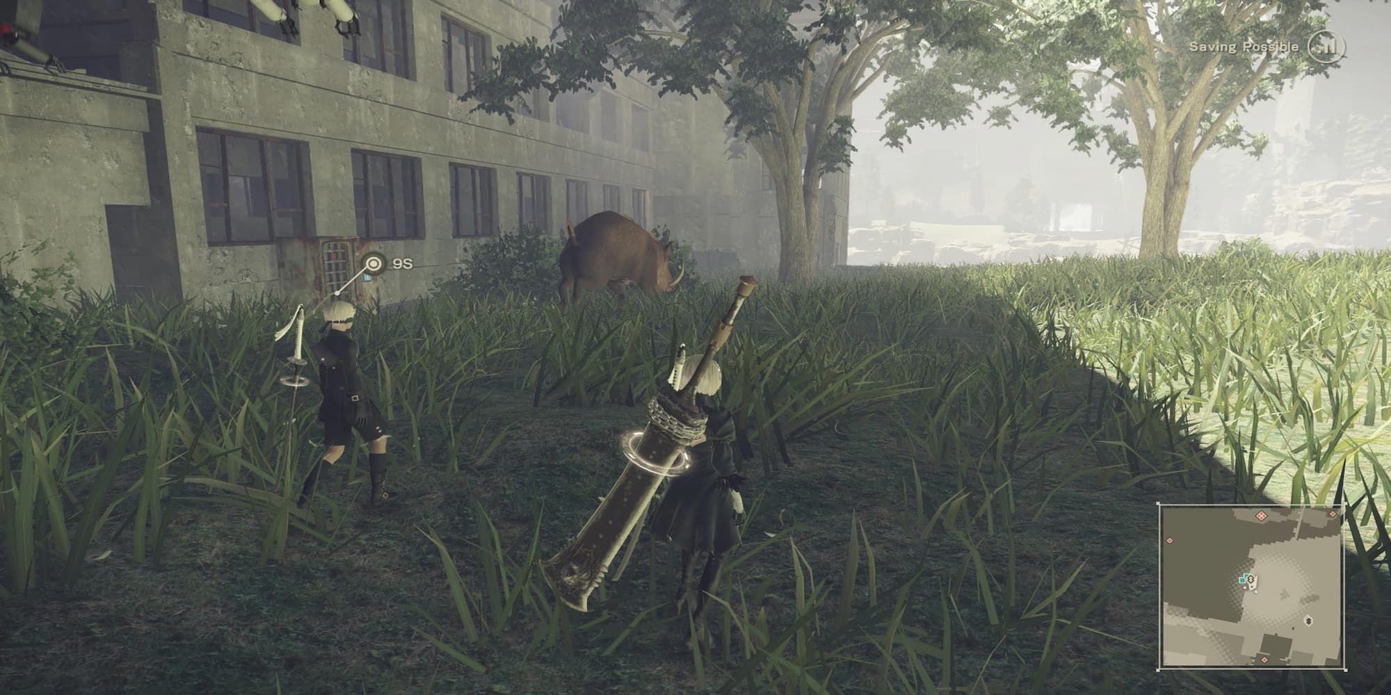 The Player Facing A Boar