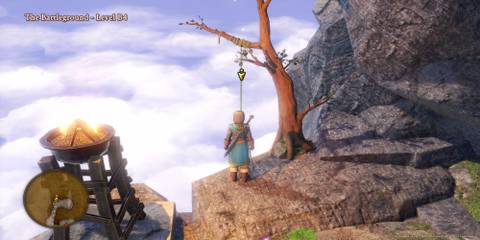 The Vine The Player Is About To Go Down