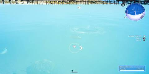 The Joystick Icon To Set The Hook