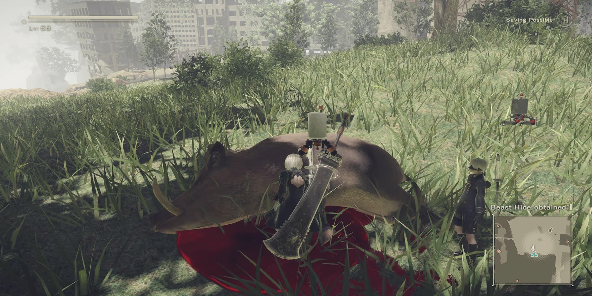 The Player Getting A Beast Hide From A Dead Boar