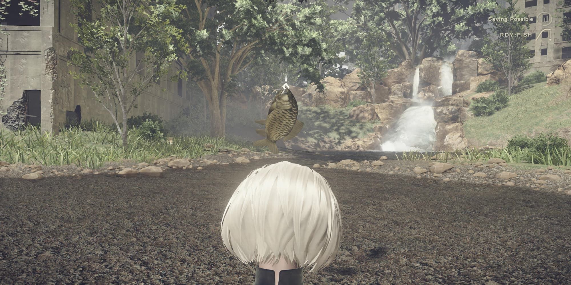 2B Catching A Fish