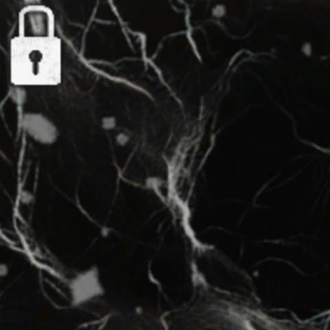 Abyss Camo in Black Ops 6