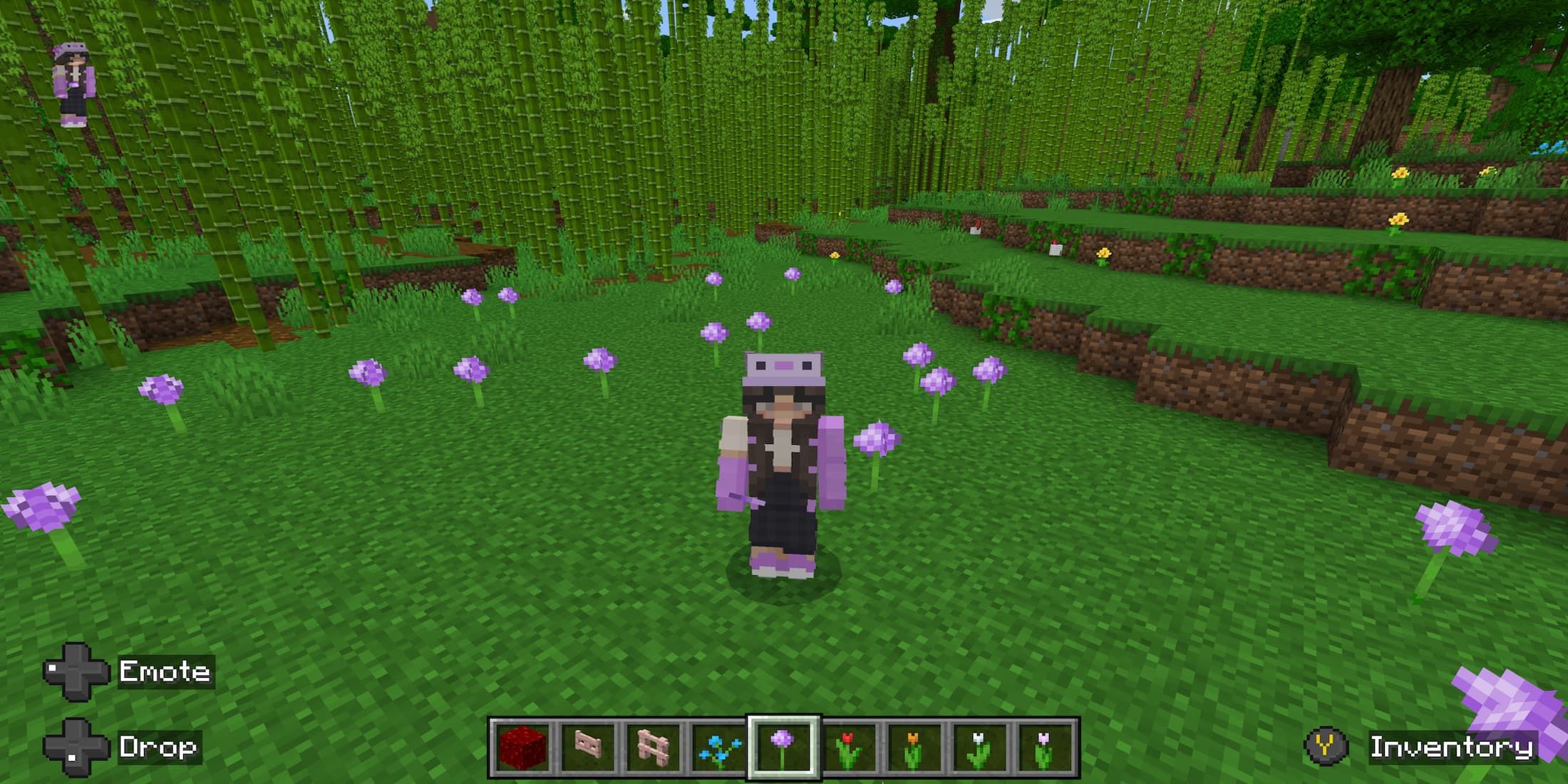 allium-minecraft-flowers