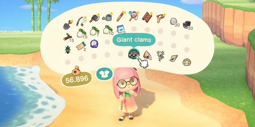 Animal Crossing New Horizons Sea Shells menu on beach