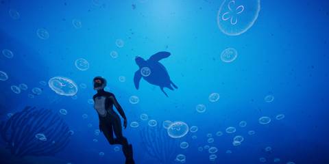 beyond blue game turtle