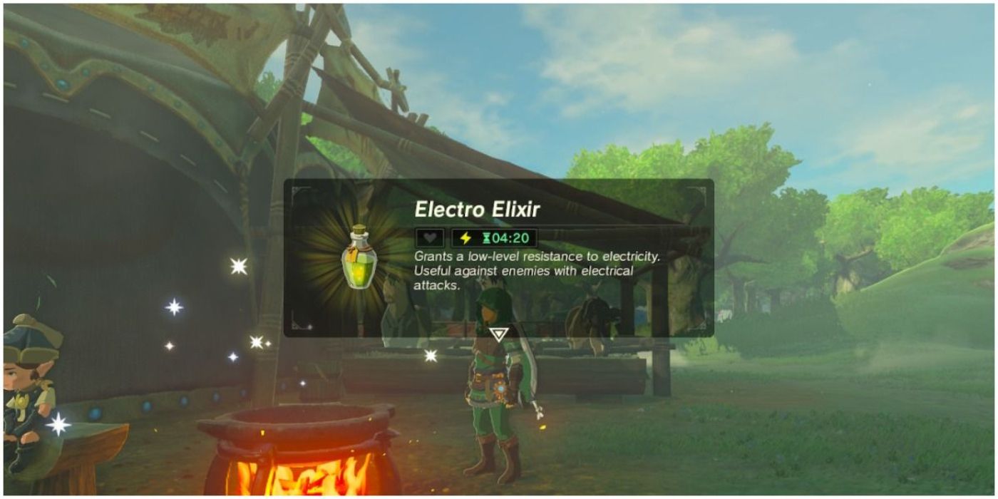 Breath of the Wild Electro Elixir