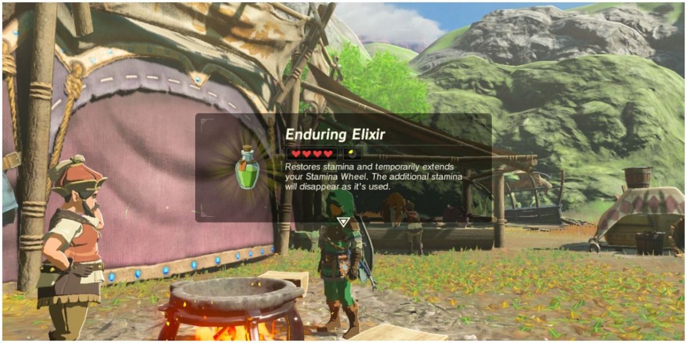 Breath of the Wild Enduring Elixir