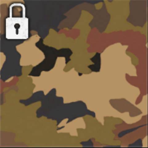 Canyon Camo in Black Ops 6