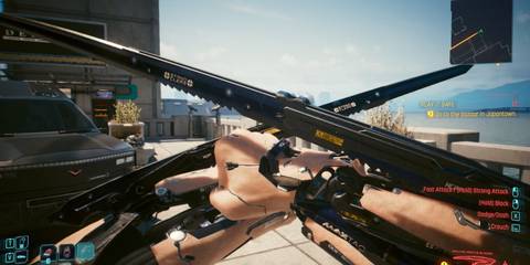 Cyberpunk 2077 player showing off mantis blades