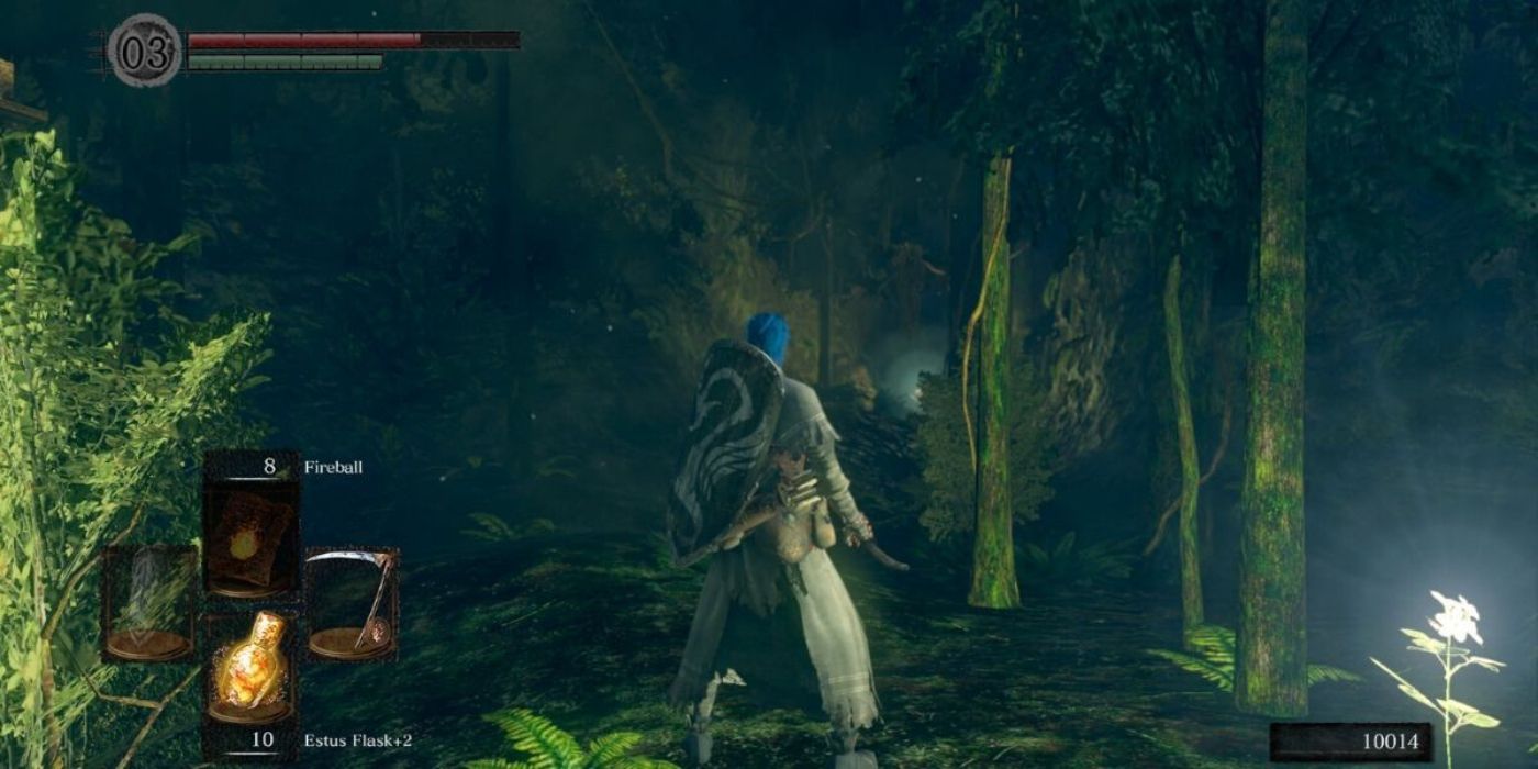 Dark Souls Remastered Soul Farming Locations Darkroot Forest (1)