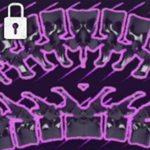 Dark Spine Camo in Black Ops 6