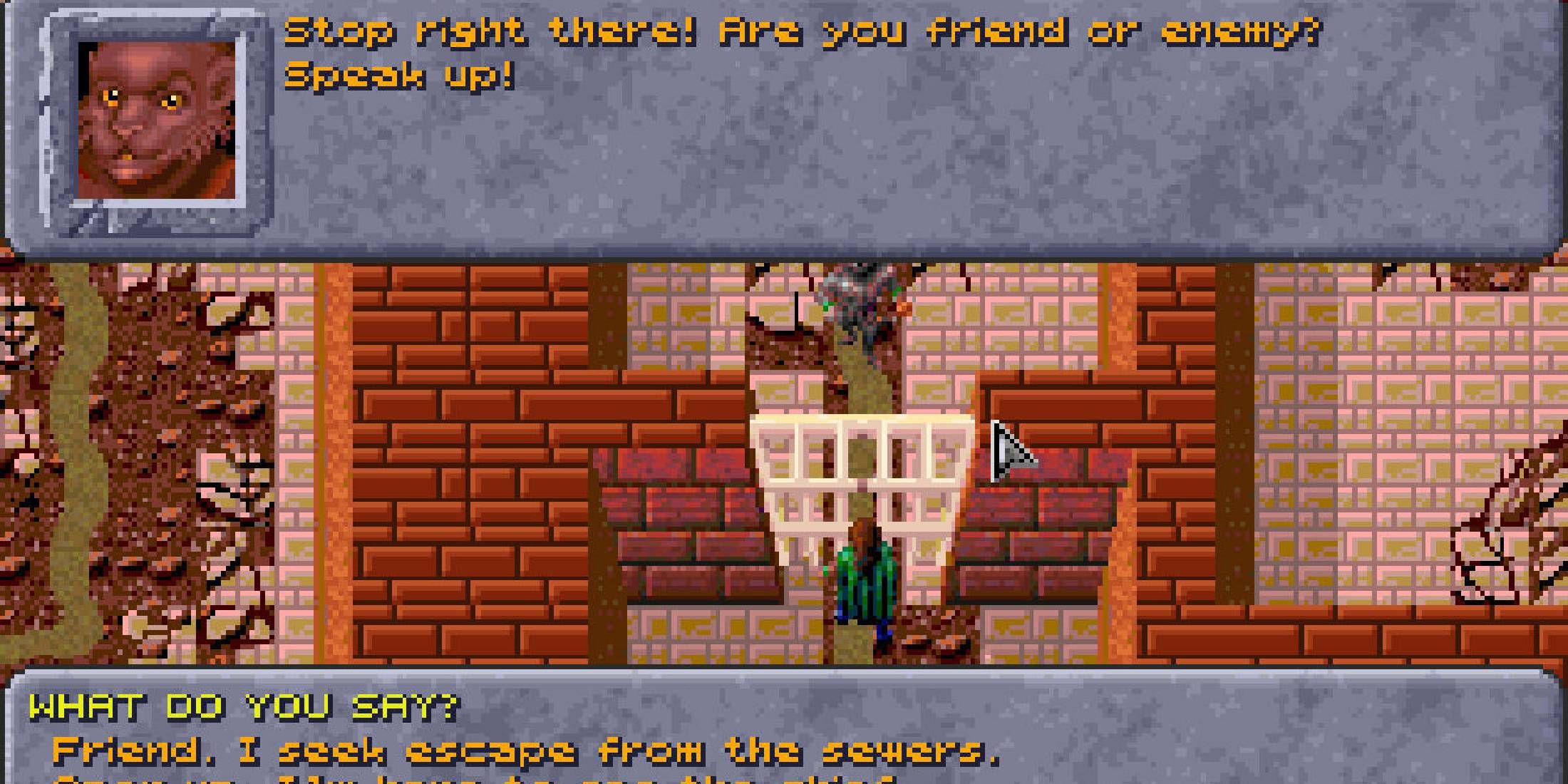 Dark Sun Shattered Lands dialogue with cat