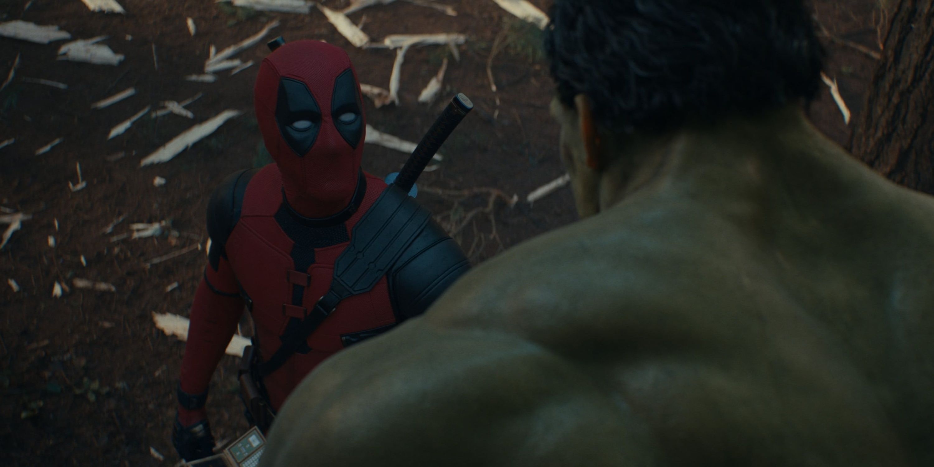 deadpool and the hulk