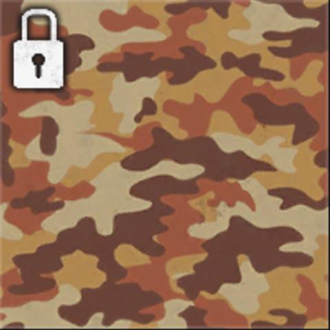 Desert Camo in Black Ops 6