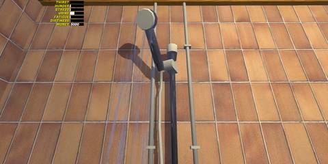 diritness my summer car