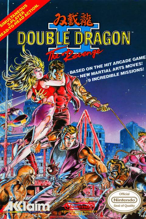 Double Dragon II: The Revenge Tag Page Cover Art