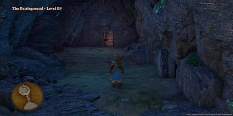 The Player Facing The Gated Door 