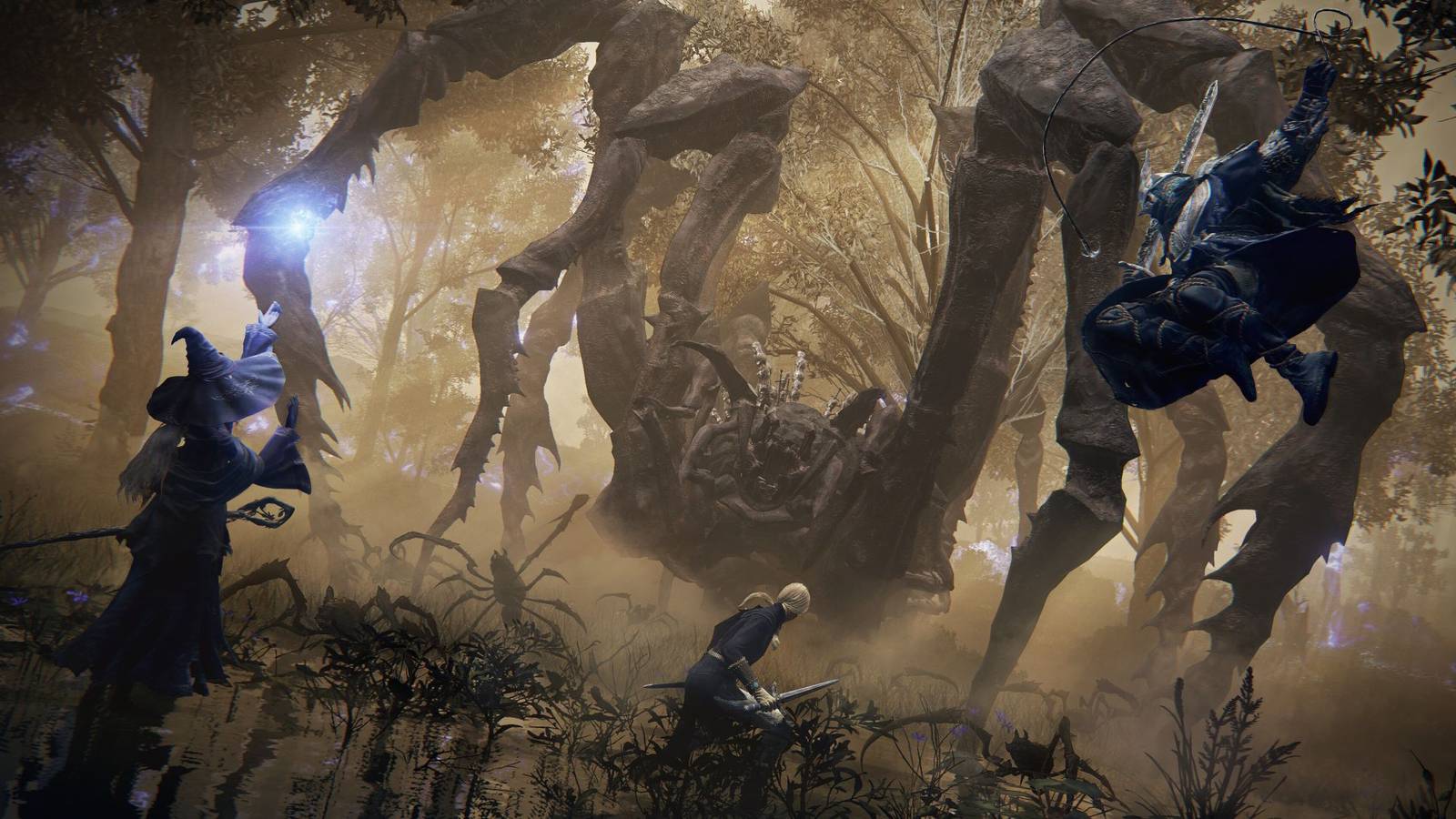 Fake Elden Ring Nightreign Playtest Hackers