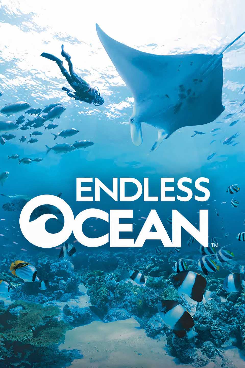 Endless Ocean Tag Page Cover Art