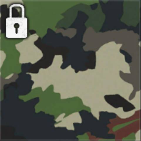 Evergreen Camo in Black Ops 6