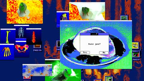 Everything is going to be OK Press Image 1