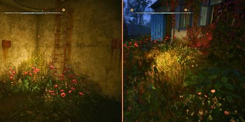 Exiting the Facility and Going into the House in the Flower Field in Legends of the Zone Stalker 2