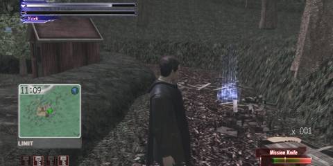 Exploring the forest in Deadly Premonition